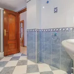 Damasco, Amplio Cercano Al Centro Cordoue